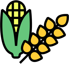 Global Export